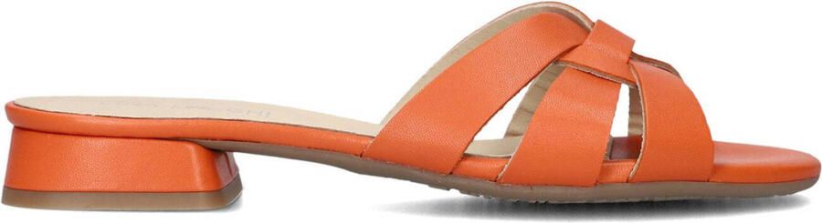 LINA LOCCHI Slippers Dames Led Knoop Slipper Maat: 36 Materiaal: Leer Kleur: Oranje