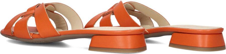 LINA LOCCHI Slippers Dames Led Knoop Slipper Maat: 36 Materiaal: Leer Kleur: Oranje - Foto 3