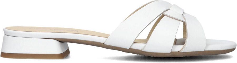 LINA LOCCHI Slippers Dames Led Knoop Slipper Maat: 36 Materiaal: Leer Kleur: Wit