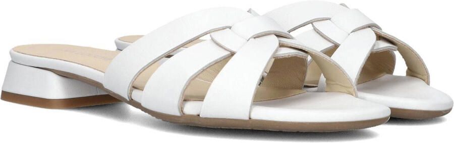 LINA LOCCHI Slippers Dames Led Knoop Slipper Maat: 36 Materiaal: Leer Kleur: Wit - Foto 2