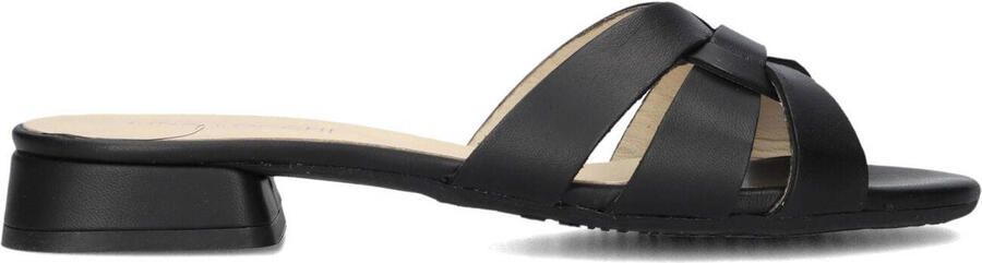 LINA LOCCHI Slippers Dames Led Knoop Slipper Maat: 39 Materiaal: Leer Kleur: Zwart