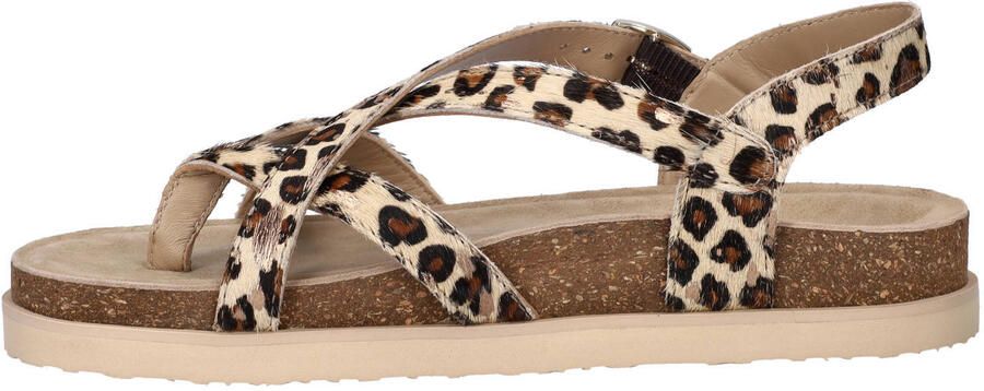 Maruti Fae sandalen met panterprint beige zwart - Foto 3