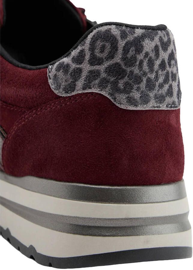Medicus suède sneakers bordeaux - Foto 3