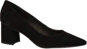 Nelson suede pumps zwart