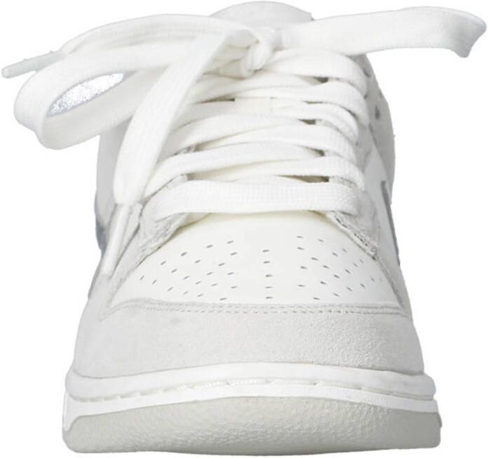 Nike Lage Sneakers Dunk Low Silver Swoosh ( 's)