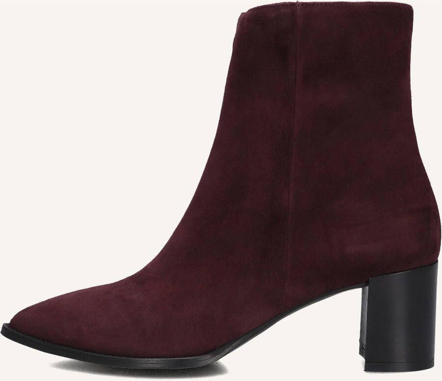 Notre-V 35239 Enkellaarsjes Enkelboots met rits Dames Paars - Foto 5