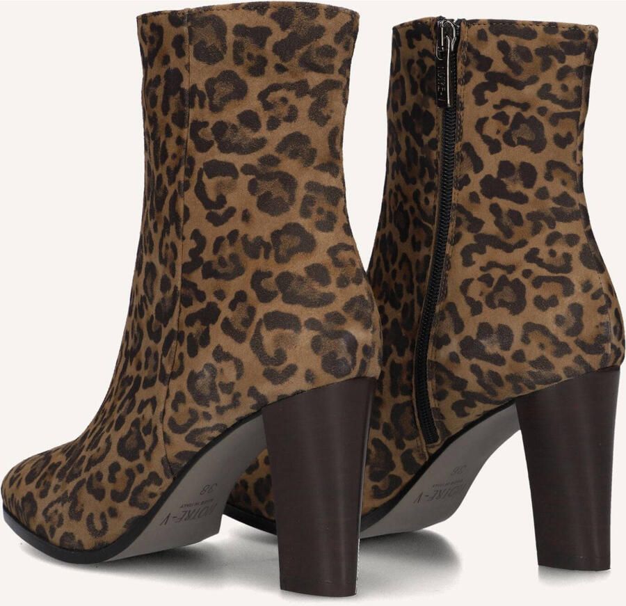 Notre-V 97436 Enkellaarsjes Enkelboots met rits Dames Bruin - Foto 3