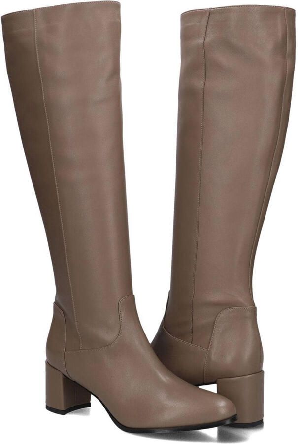 Notre-v Taupe Hoge Laarzen voor Stijlvolle Herfst