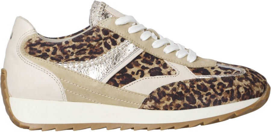 Piedi Nudi Harlem 02.05 suède sneakers met panterprint beige zilver - Foto 2