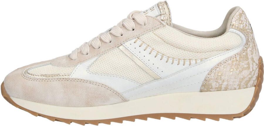 Piedi Nudi Dames Sneakers Harlem 05.08 Cream Gold Beige - Foto 2