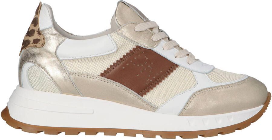 Piedi Nudi Helen 03.01 Gold Leopard Sneakers Wit Goud Leer Dames H Wit Goud