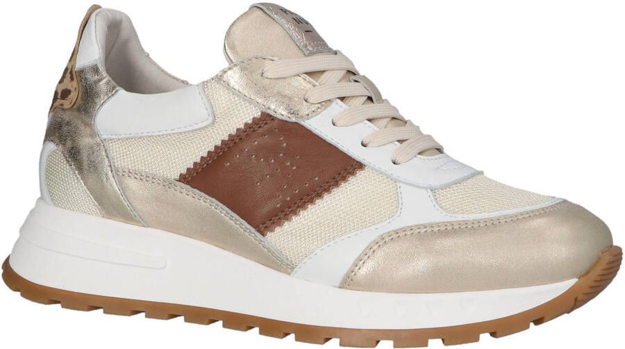 Piedi Nudi Helen 03.01 Gold Leopard Sneakers Wit Goud Leer Dames H Wit Goud - Foto 3