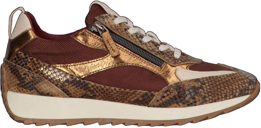 Piedi Nudi Hera leren sneakers met dierenprint bruin