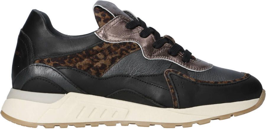 Piedi Nudi Nova 11.40 leren sneakers zwart panter brons