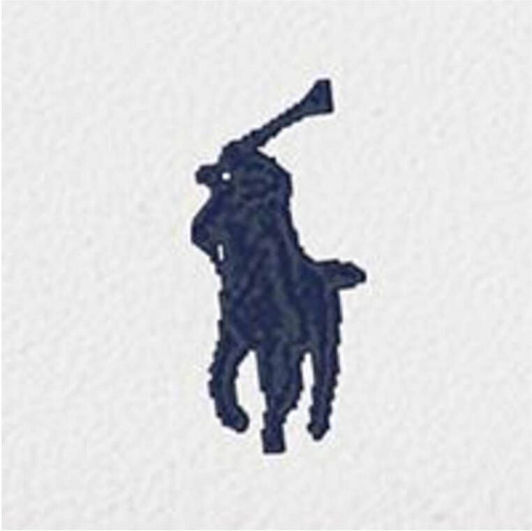 POLO Ralph Lauren Train 89 leren sneakers donkerblauw