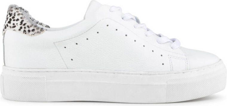 PS Poelman TITULAR Dames Casual Leren Tennis Sneaker met Dalmatiër Print Wit