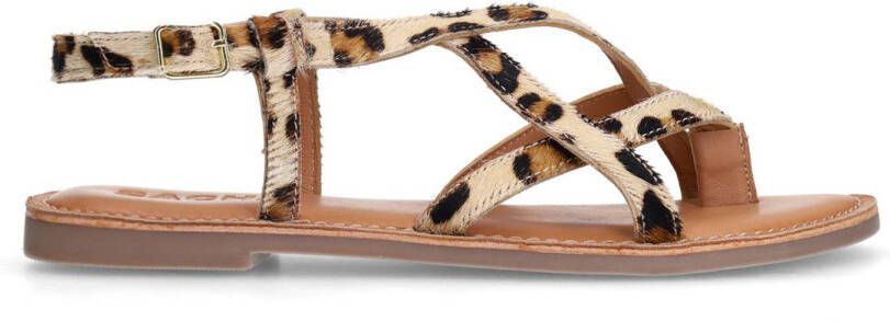 Sacha Dames Leopard sandalen met gekruiste bandjes