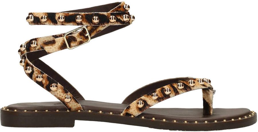 Sacha leren sandalen met panterprint en studs beige zwart