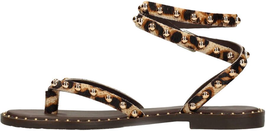 Sacha leren sandalen met panterprint en studs beige zwart - Foto 3
