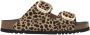Scholl Footwear Bruin Footwear Noelle Sandalen Bruin F30067 - Thumbnail 1