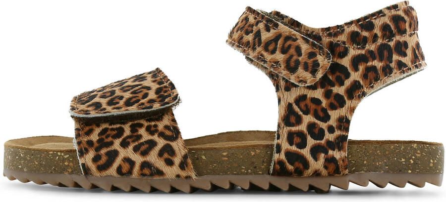 Shoesme leren sandalen bruin panterprint - Foto 3