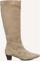 STEFANO LAURAN Hoge Laarzen Dames 010-290 Suède Beige - Beige