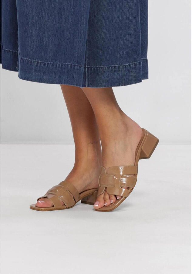 STEFANO LAURAN Slippers Dames 24050 H Lakleer Beige - Foto 6