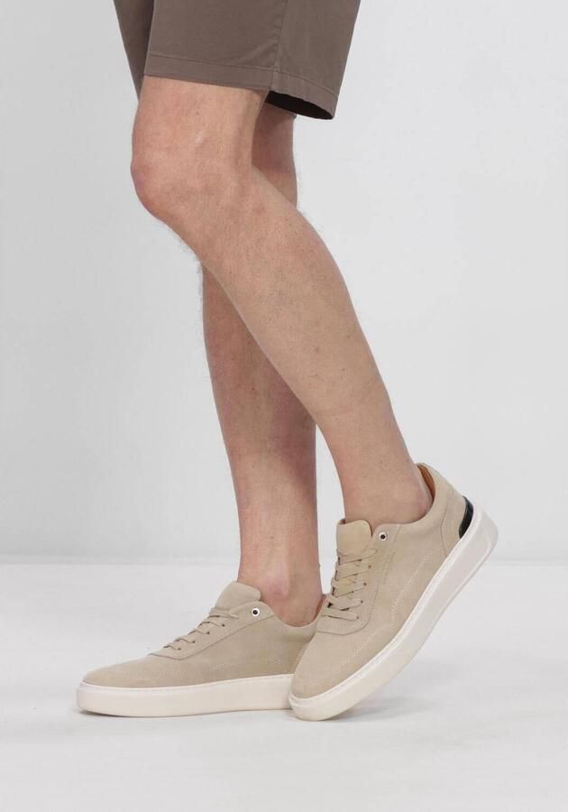 STEFANO LAURAN Lage Sneakers Heren Star 001 Suède Beige - Foto 4