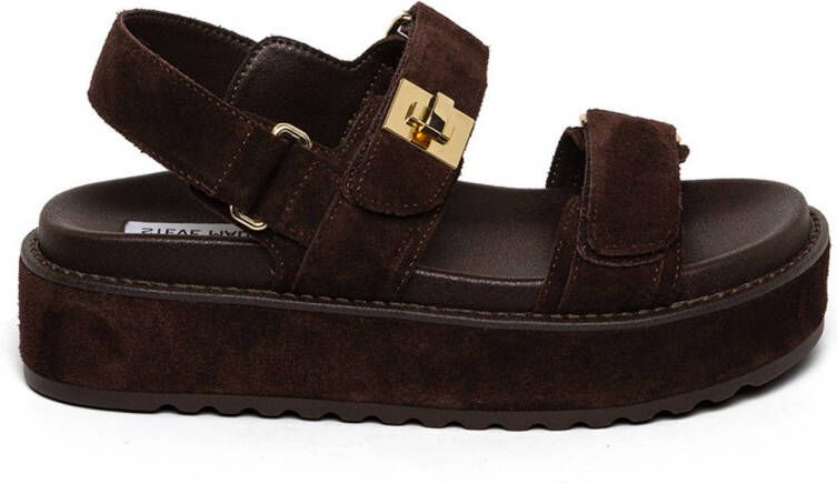 Steve Madden Bigmona suède sandalen donkerbruin