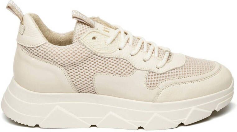 Steve Madden Dames sportschoenen Pitty White Dames