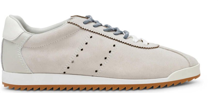 Steve Madden Mirage-SM suède sneakers lichtgrijs