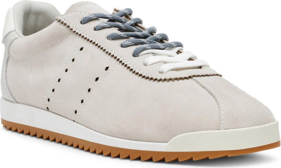 Steve Madden Mirage-SM suède sneakers lichtgrijs - Foto 2