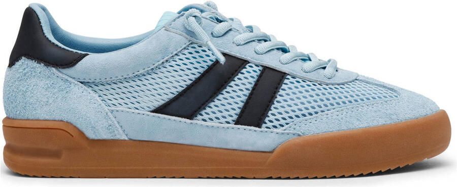 Steve Madden Verdict suède sneakers blauw