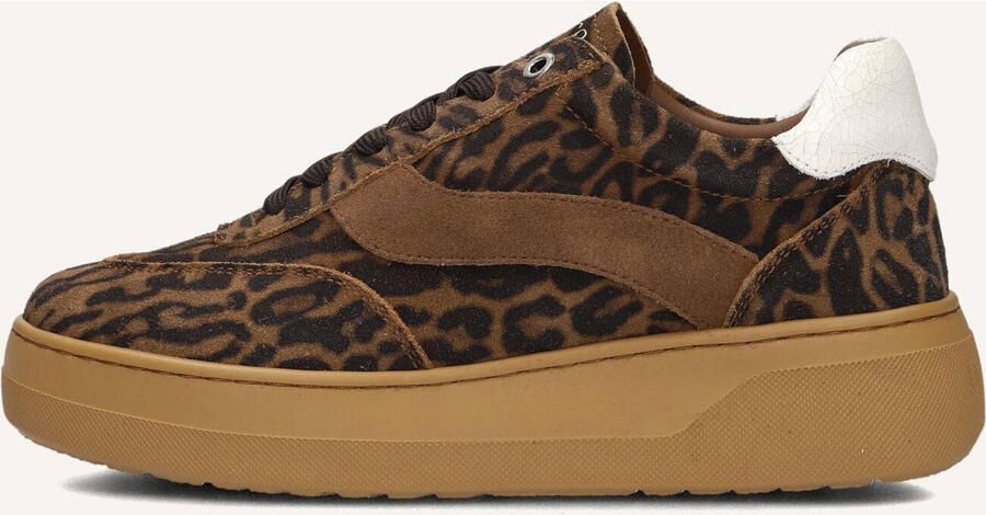 Unisa Fedy Sneakers met Pantherprint