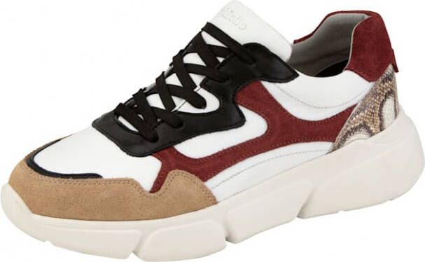 Studio W Sneaker in een trendy kleurencombinatie Wit