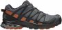 Salomon Xa Pro 3d V8 Goretex Trailrunningschoenen Grijs 2 3 Man - Thumbnail 5