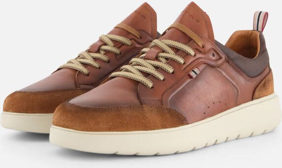 Ambitious Hover Sneakers cognac Leer