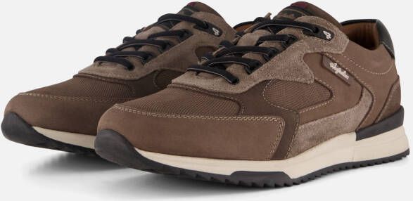 Australian Bakersville Sneakers taupe Leer