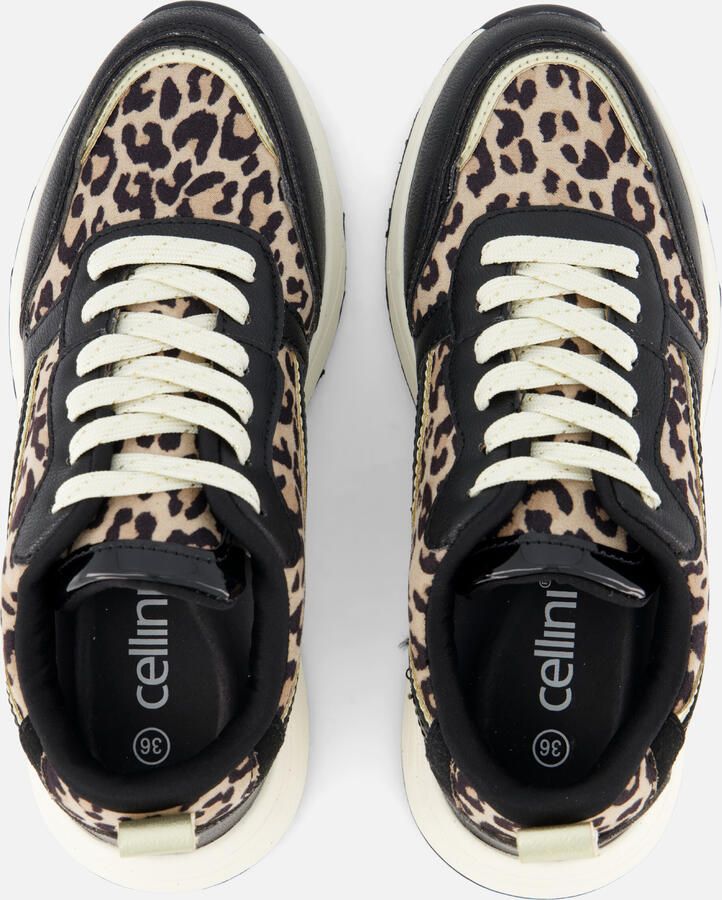 Cellini Cellnini Leopard Sneakers zwart Textiel - Foto 4