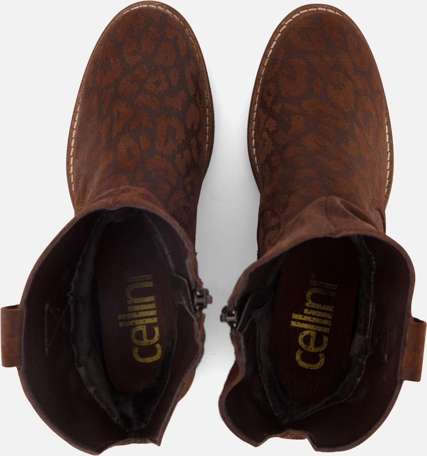 Cellini Plooi Enkellaarsjes bruin Suede