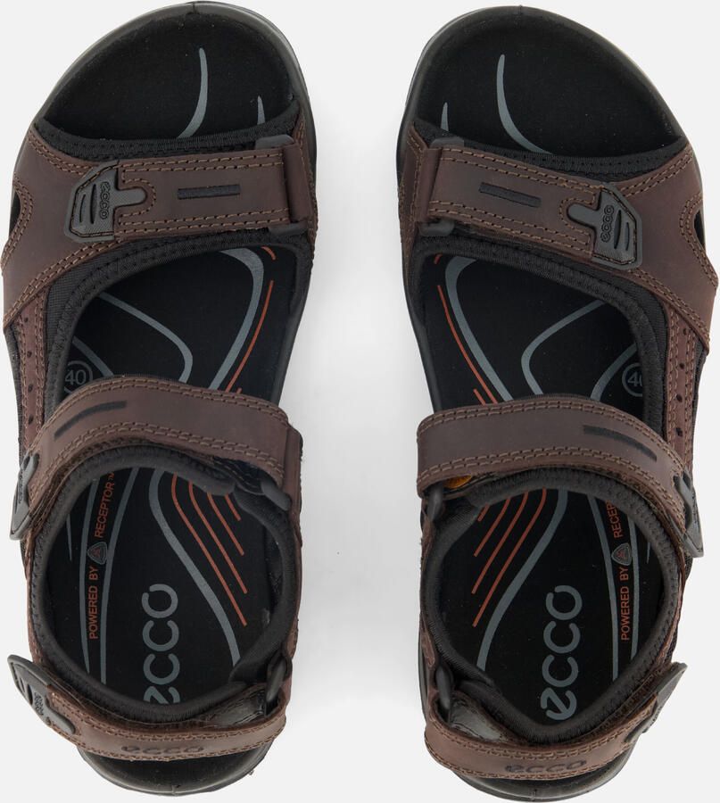 Ecco Outdoorsandalen OFFROAD zomerschoen klittenbandschoen outdoorschoen in trekkinglook - Foto 3