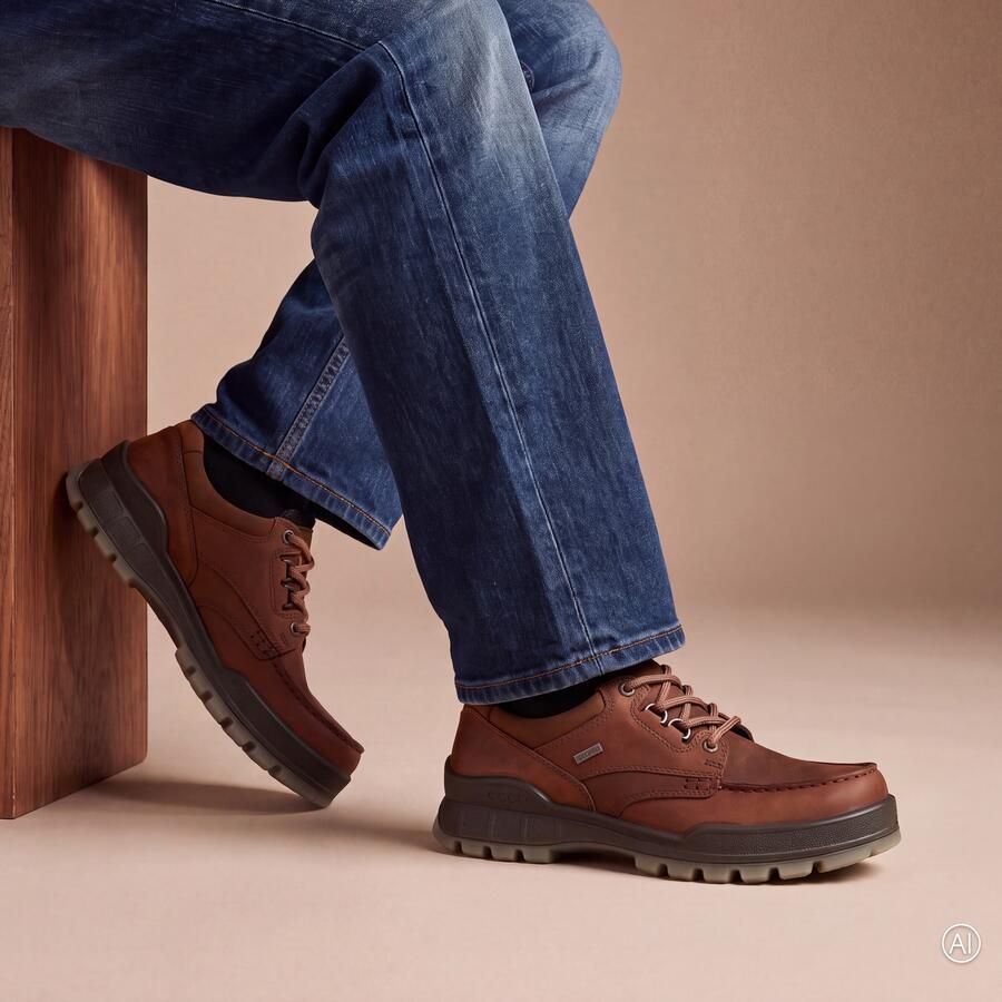 ECCO Track 25 M Heren leren Gore-Tex schoen Bruin 45 (UK 10.5-11)