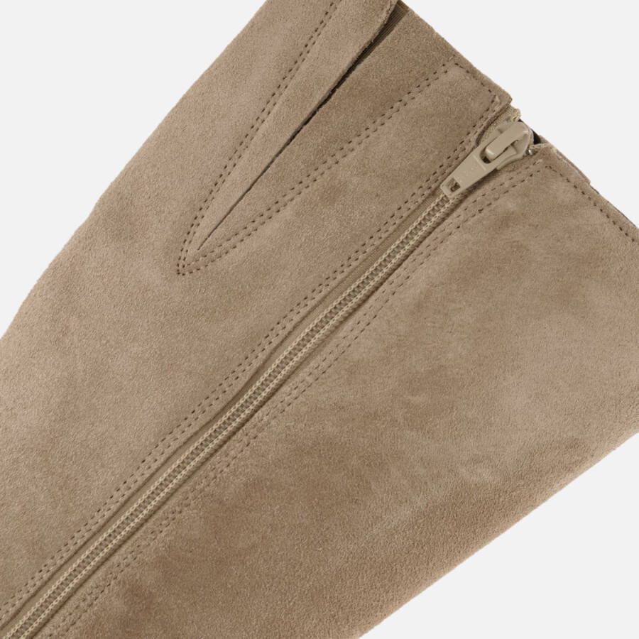 Cellini Hoge laarzen taupe Suede