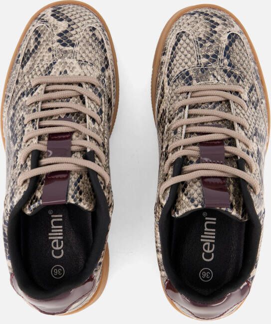 Cellini Snake Sneakers beige Synthetisch