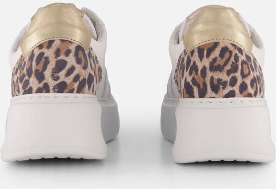 Gabor Leopard Sneakers wit Leer