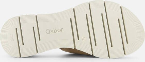 Gabor Sandalen beige Suede