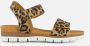 Giga Leopard Sandalen bruin Leer Dames - Thumbnail 19