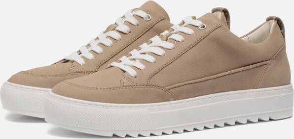 Invinci Sneakers beige Suede