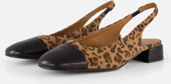 Linea Zeta Leopard Slingbacks zwart Leer