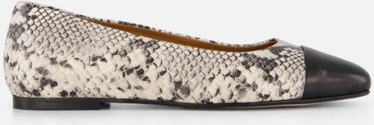 Linea Zeta Snake Ballerina's zwart Leer